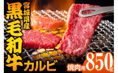 宮城県産 黒毛和牛カルビ焼肉用 850g｜国産 牛肉 バーベキュー [0050] 925374 - 宮城県大郷町