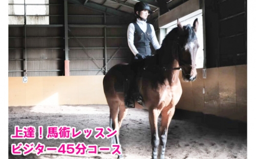 上達！馬術レッスン・ビジター45分コース｜東北 宮城 仙台 乗馬 チケット クーポン 入場券 体験 レジャー [0088] 925402 - 宮城県大郷町