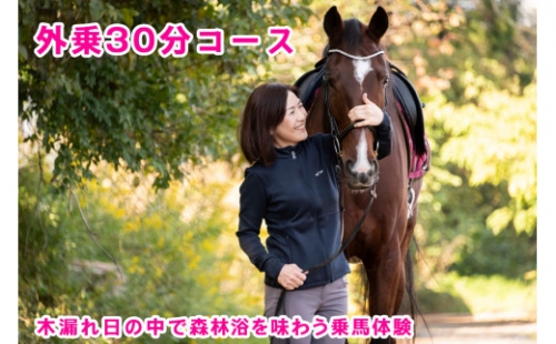 木漏れ日の中で森林浴を味わう乗馬体験・外乗30分コース｜東北 宮城 仙台 チケット クーポン 入場券 レジャー レッスン [0089] 925403 - 宮城県大郷町