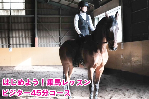 はじめよう！乗馬レッスン・ビジター45分コース｜東北 宮城 仙台 チケット クーポン 入場券 体験 レジャー [0091] 925407 - 宮城県大郷町