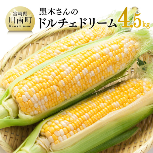 【令和8年発送】黒木さんのドルチェドリーム4.5kg【 数量限定 季節限定 産地直送 とうもろこし コーン とうきび 野菜 】 926161 - 宮崎県川南町