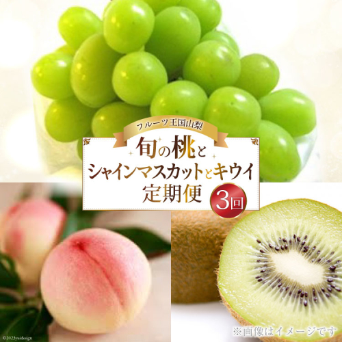 【先行受付】【3回 定期便 】山梨県産 フルーツ 『 桃 2kg & シャインマスカット 1.8kg & キウイフルーツ 1.5kg』 [ えべし 山梨県 中央市 21470867] 果物 くだもの もも マスカット キウイ 926288 - 山梨県中央市