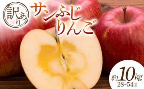 【2025年発送 先行予約】訳あり サンふじりんご 約10kg 28～54玉  りんご リンゴ 林檎 デザート フルーツ 果物 くだもの 果実 食品 山形県 FSY-0695
