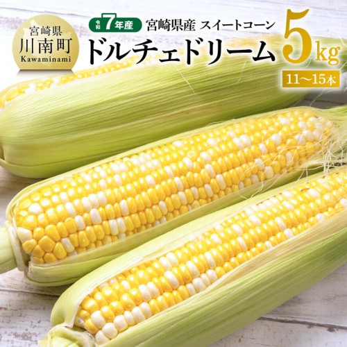 【令和７年発送】宮崎県産とうもろこし　スイートコーン「ドルチェドリーム」5kg 【 とうもろこし スイートコーン コーン とうきび 野菜 2025年発送 】 927254 - 宮崎県川南町