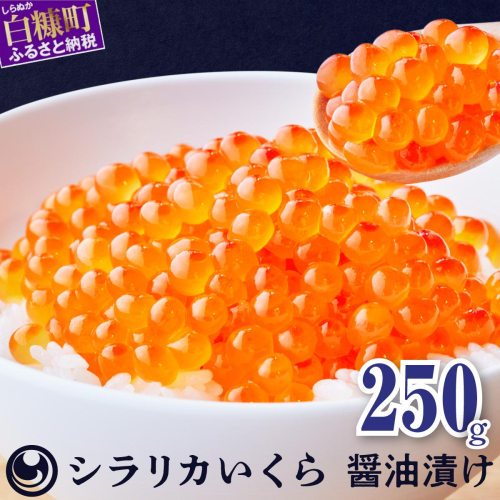 シラリカいくら(醤油味)【250g】 929162 - 北海道白糠町