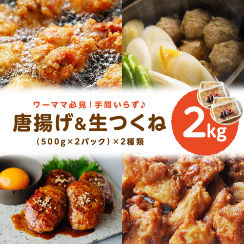 地域の方に長く愛されている【鳥好特製 唐揚げ＆生つくね】 930351 - 和歌山県御坊市