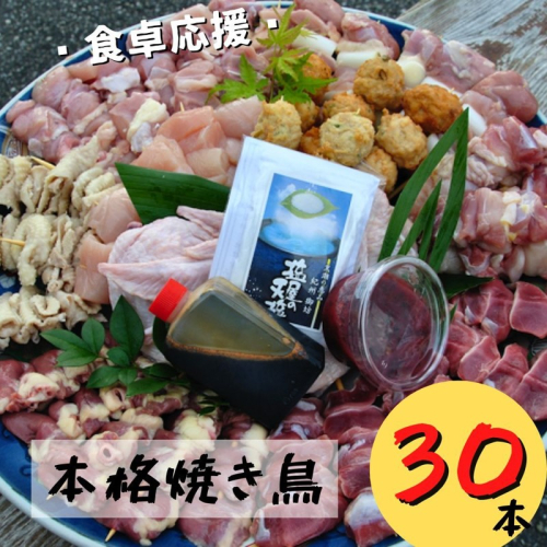 【本格焼き鳥お任せセット3０本】BBQ、キャンプに！ 930352 - 和歌山県御坊市