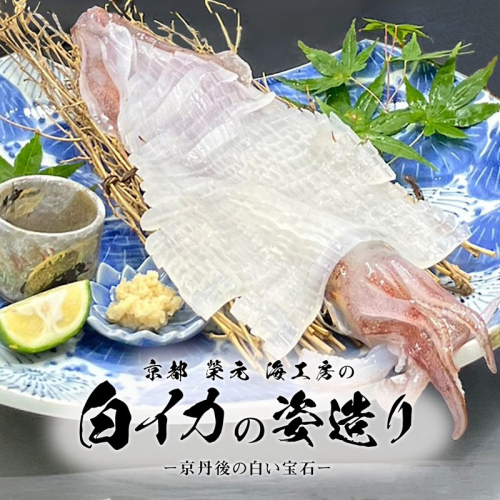 京都　榮元　海工房の京白イカの姿造り
 930817 - 京都府京丹後市