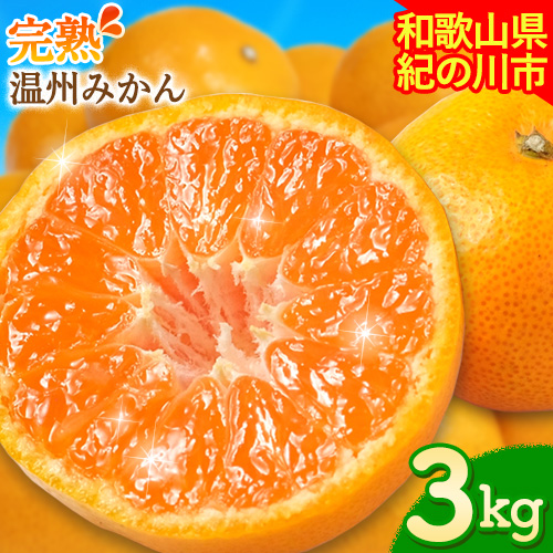 【先行予約】完熟 温州みかん 約3kg (35～40玉) こだまファーム《10月中旬-2月中旬頃出荷》 和歌山県 紀の川市 みかん ミカン 果物 フルーツ 930894 - 和歌山県紀の川市