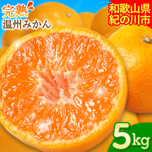 【先行予約】完熟 温州みかん 約5kg (45～55玉) こだまファーム《10月中旬-2月中旬頃出荷》 和歌山県 紀の川市 みかん ミカン 果物 フルーツ 930895 - 和歌山県紀の川市