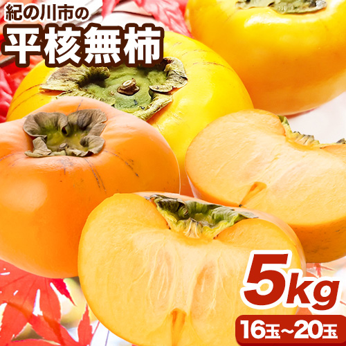 【先行予約】平核無柿 約5kg (16～20玉) こだまファーム《9月中旬-11月中旬頃出荷》 和歌山県 紀の川市 柿 カキ かき 果物 フルーツ 送料無料 930897 - 和歌山県紀の川市