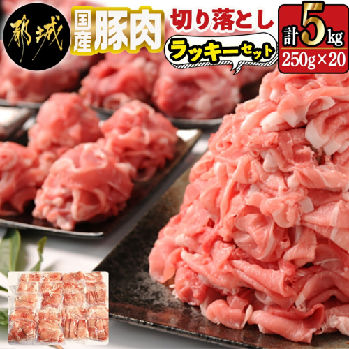 国産豚肉切り落とし5kgラッキーセット_19-3601 934347 - 宮崎県都城市