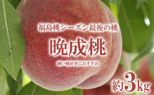 No.2689福島桃シーズン最後の桃　晩成桃　約3kg【2025年発送分】
