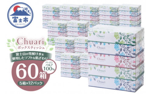 ボックスティッシュ Chuari 計60箱 (5箱×12パック) (1箱 120組 240枚) パルプ100％ ソフト 箱ティッシュ ティッシュペーパー 富士山 雪解け水 テッシュ テイッシュ 防災 備蓄 日用品 生活用品 消耗品 静岡県 富士市 [sf002-194]