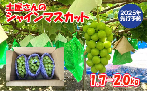 【2026年発送分 先行予約】土屋さんのシャインマスカット(1.7～2.0kg 3～4房) シャイン マスカット 富士川町産 産地直送 フルーツ 果物 くだもの ブドウ ぶどう 葡萄 やまなし 山梨 先行受付 令和8年