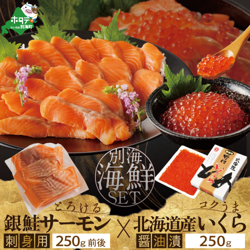 サーモン ・ いくら 海鮮セット 刺身用サーモン 250g + 北海道産醤油いくら250g 938108 - 北海道別海町