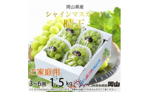 ＜2025年8月発送＞ご家庭用　岡山県産　シャインマスカット　晴王　1.5kg(3～6房)_ シャインマスカット ふるさと納税 ぶどう 葡萄 ブドウ マスカット 果物 くだもの フルーツ 産地直送 岡山県 津山市 家庭用 送料無料 【1409726】