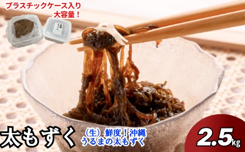 【ふるさと納税】生産量日本一！うるま市勝連産の生もずく（お徳用）2.5kg　生もずく　沖縄　手軽　贈り物　冷凍　天ぷら　沖縄そば　ミネラル　海　沖縄　うるま市　勝連　海藻 939372 - 沖縄県うるま市