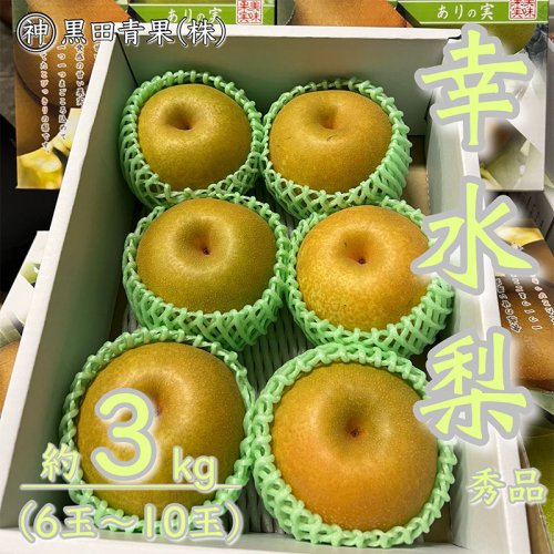 山形県産 幸水 梨 秀品 約3kg(6～10玉) 【令和7年産先行予約】FU23-442 941331 - 山形県山形市
