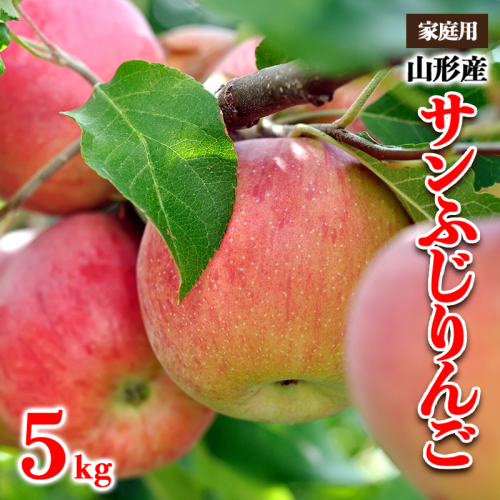 【家庭用】山形産 サンふじりんご 優品以上 5kg FY25-817 941361 - 山形県山形市