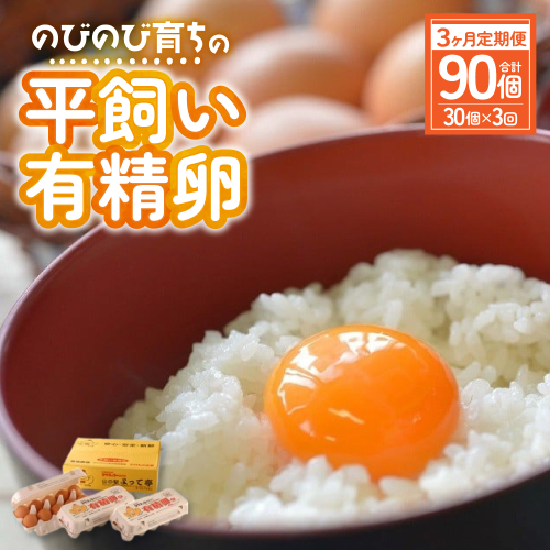 JK-04　【3ヶ月定期便】のびのび育ちの平飼い有精卵（30個×3ヶ月） 944653 - 三重県多気町