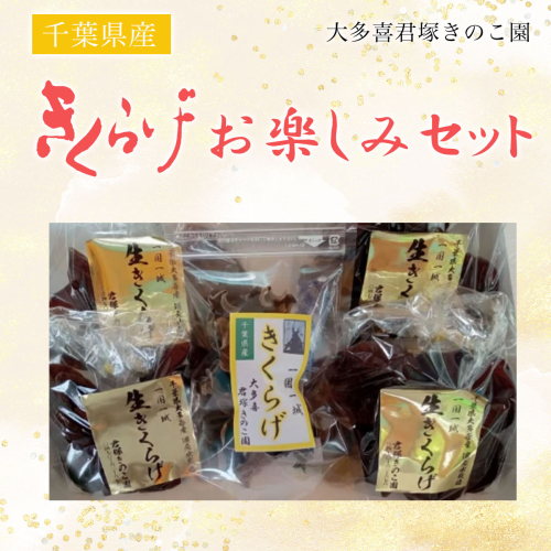 W00953 きくらげお楽しみセット 948811 - 千葉県大多喜町