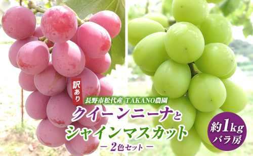 先行予約 長野市松代産 TAKANO農園 訳ありクイーンニーナとシャインマスカット2色セット 約1kg（バラ房）2025年発送 果物 フルーツ 食後 デザート 種無し ぶどう詰め合わせ ぶどう 食べ比べ  950370 - 長野県長野市
