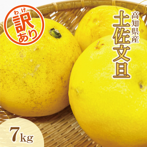 【訳あり】土佐文旦（ぶんたん）家庭用（M～５Ｌ混合）約７ｋｇ【株式会社とさもん（土佐市）厳選】 文旦 7キロ 約10～22玉 ぶんたん ブンタン 柑橘 果物 フルーツ お取り寄せ おいしい 訳あり 傷 951639 - 高知県土佐市