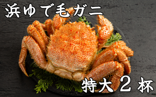 52-10 流氷明け浜ゆで毛ガニ　特大2杯 951675 - 北海道紋別市