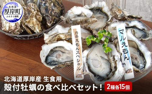 北海道 厚岸産 殻付牡蠣の食べ比べセット!(生食用)  牡蠣 カキ かき 生食 生食用 生牡蠣  食べ比べ 魚貝類  952219 - 北海道厚岸町