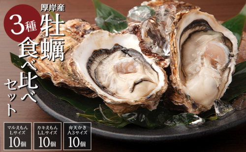 北海道 牡蠣 3種 食べ比べ セット 厚岸オイスター★オールスターズ 生食 生牡蠣 貝付き牡蠣 貝 海鮮 魚介類 殻付き牡蠣 カキ  952292 - 北海道厚岸町