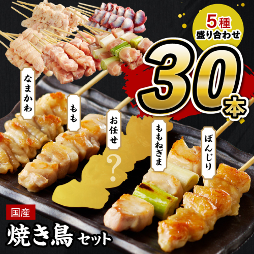 焼き鳥 30本 ／国産焼き鳥セット 5種盛り合わせ30本 バラエティ 焼き鳥 セット ＜もも串焼き鳥／ねぎま焼き鳥／かわ焼き鳥／ テール（ぼんじり焼き鳥）串焼き鳥・冷凍焼き鳥・焼き鳥詰め合わせ・焼き鳥小分け＞ 954717 - 京都府京丹後市