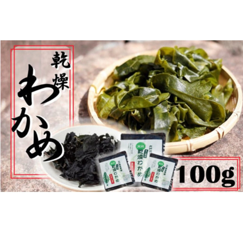 ミネラル豊富な海の野菜!乾燥わかめ100g(18g×4P・7g×4P)_2218R 955650 - 大分県国東市