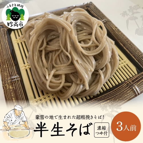 半生そば(3人前)つゆ付 956174 - 新潟県妙高市