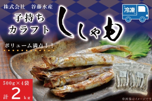 子持カラフトししゃも 2kg （ 500g × 4袋 ） 子持ち カラフトししゃも シシャモ 大洗 魚 魚介 956264 - 茨城県大洗町