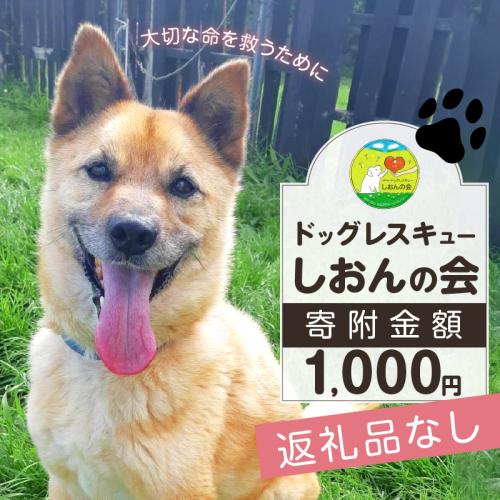 【野犬の保護活動】浜中町「ドッグレスキューしおんの会」を支援　1000円分 返礼品なし_H0039-001 956412 - 北海道浜中町