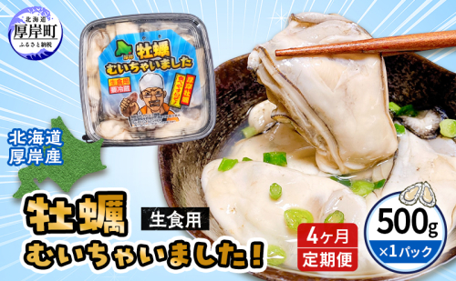 【 4ヵ月 定期便 】牡蠣 北海道 厚岸産 牡蠣むいちゃいました！ 生食用 500g (各回500g×4ヶ月分,合計約2kg)  魚貝類 生牡蠣 マルえもん 961381 - 北海道厚岸町