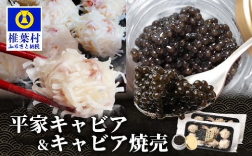 【日本三大秘境×世界三大珍味】キャビア焼売 8個入り×2パック＆平家キャビア 5gセット［宮崎 椎葉 国産 ちょうざめ チョウザメ きゃびあ キャビア しゅうまい シュウマイ 焼売 魚卵 卵 クリーミー お酒 魚介 珍味 加工品 冷凍 高級 贅沢 お取り寄せ ディナー パーティー おつまみ グルメ ギフト 記念日 誕生日 プレゼント お祝い 贈り物 贈答 セット 桐箱 希少］【SZ-136】 963151 - 宮崎県椎葉村