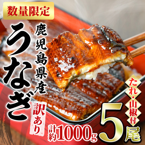 【0304313a】＜訳あり＞東串良町のうなぎ蒲焼(無頭)(5尾以上・計約1kg・タレ、山椒付) 数量限定 うなぎ 高級 ウナギ 鰻 国産 蒲焼 蒲焼き たれ 鹿児島 ふるさと 人気【アクアおおすみ】 96327 - 鹿児島県東串良町