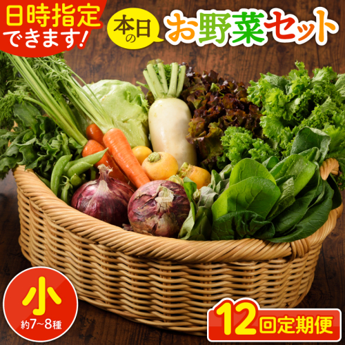 【12回定期便】日時指定OK！本日のお野菜セット 〈小サイズ/約7-8種〉1～2人用 96390 - 宮崎県綾町