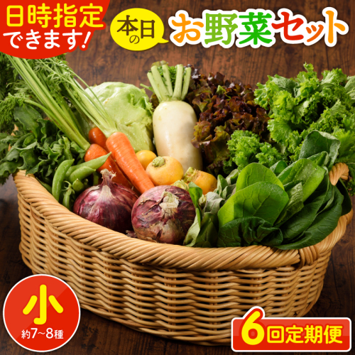 【6回定期便】日時指定OK！本日のお野菜セット 〈小サイズ/約7-8種〉1～2人用 96392 - 宮崎県綾町