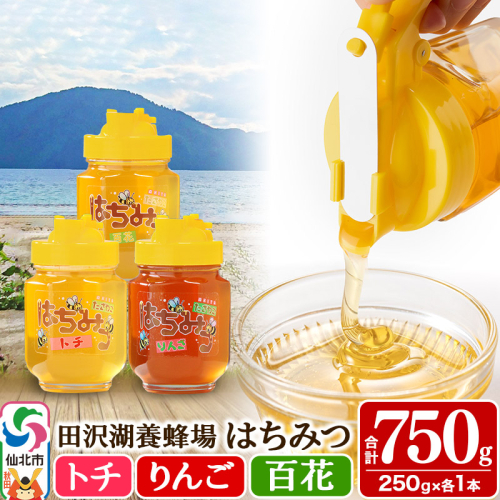 秋田県産はちみつ（トチ・リンゴ・百花）250g×各1本 合計750g 化粧箱入り 詰め合わせセット 田沢湖養蜂場 964151 - 秋田県仙北市