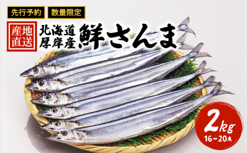 先行予約 産地直送 北海道 厚岸産 刺身用 鮮さんま 2kg（16～20尾） サンマ 秋刀魚 さんま 鮮魚 魚介類 海産 生さんま  965265 - 北海道厚岸町