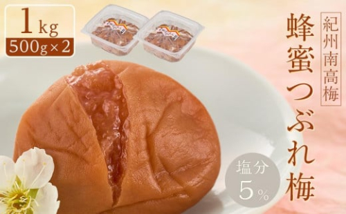 紀州南高梅　蜂蜜つぶれ梅　塩分5％　1kg（500g×２)【Kn22】 965350 - 和歌山県上富田町