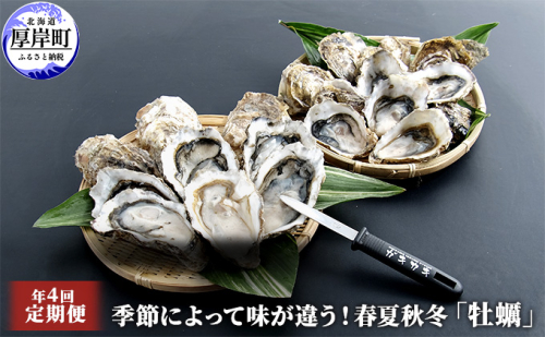 定期便 4回 季節によって味が違う！春夏秋冬「 牡蠣 」 【配送不可：沖縄・離島】 魚貝類 生牡蠣 かき マルえもん 965625 - 北海道厚岸町