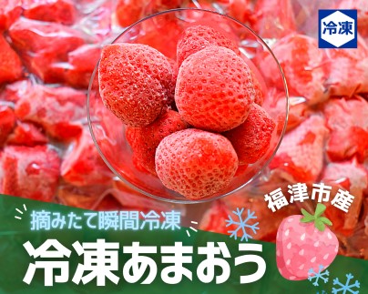 摘みたて瞬間★冷凍あまおう小分けパック1.5kg（250g×6P）[F0021] 96565 - 福岡県福津市