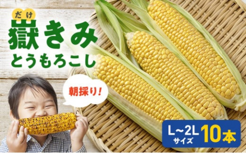 【25年7月～発送】とうもろこし 朝採り 嶽きみ（だけきみ） 10本 L～2Lサイズ 冷蔵 青森県 弘前市【レビューキャンペーン】