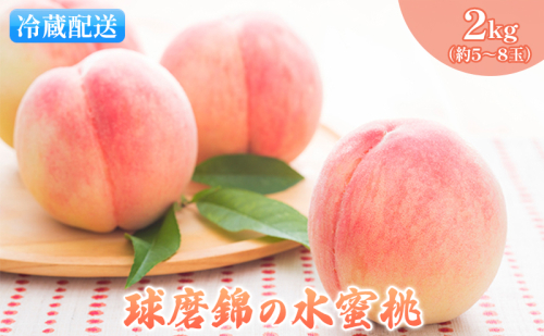 桃 白桃 先行予約 錦の水蜜桃 2kg 約5玉～8玉 もも モモ フルーツ 果物 デザート2025年発送 配送不可:離島  96579 - 熊本県錦町