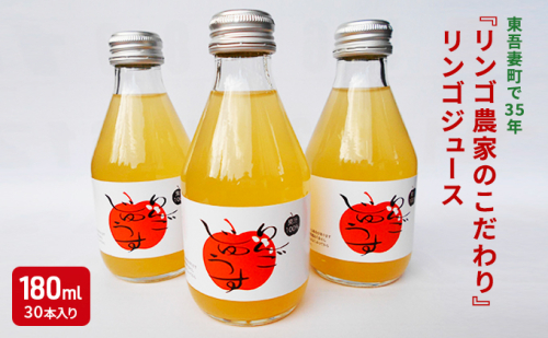東吾妻町で35年『リンゴ農家のこだわり』リンゴジュース(30本) 飲料類 果汁飲料 飲み物 アップルジュース 贈り物 完熟りんご ふじりんご使用 お中元 966663 - 群馬県東吾妻町