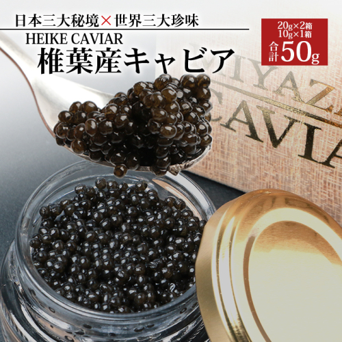 【桐箱入り】HEIKE CAVIAR 50ｇ 【宮崎県 椎葉村】【世界三大珍味×日本三大秘境】［宮崎 椎葉 国産 ちょうざめ チョウザメ きゃびあ キャビア 50g 魚卵 卵 クリーミー お酒 魚介 珍味 加工品 冷凍 高級 高級品 贅沢 お取り寄せ お取り寄せグルメ ディナー パーティー おつまみ グルメ ギフト 記念日 誕生日 プレゼント お祝い 贈り物 贈答 桐箱 希少］【SZ-106】 966947 - 宮崎県椎葉村